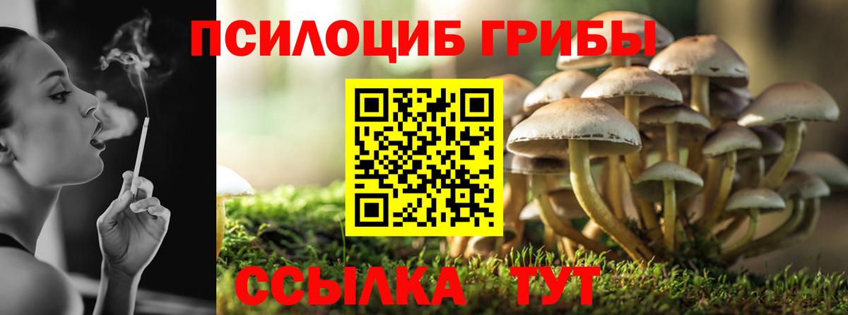 Псилоцибиновые грибы Psilocybe  Вход с VPN  Трёхгорный 